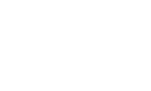 Fender Guitar logo in classic cursive font.