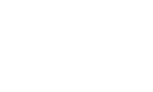 Zedd Logo